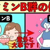 意外と見落としがちなビタミンB群