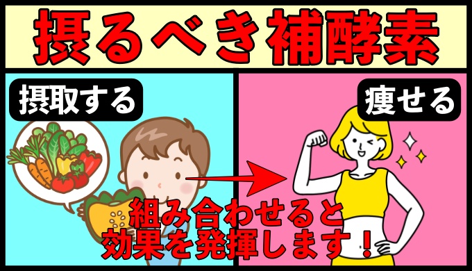 三大栄養素を代謝するために必要な栄養素