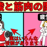 乳酸と筋肉の関係性