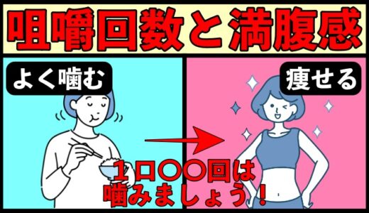 咀嚼回数と満腹感