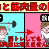 扱える重量が増えたのに筋肉量が減るたった１つの理由