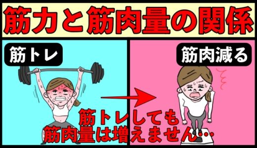 扱える重量が増えたのに筋肉量が減るたった１つの理由