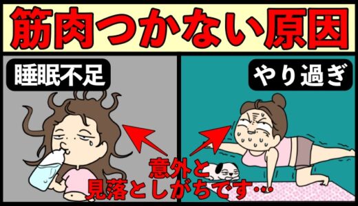 意外と気づかない筋肉がつかない３つの理由