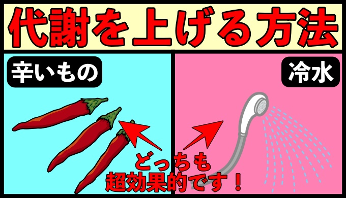 代謝を上げるためにやると良い３つのこと