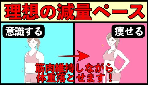 筋肉量を維持しながら脂肪を落とす最高の減量ペース