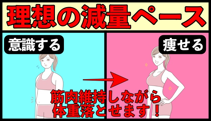 筋肉量を維持しながら脂肪を落とす最高の減量ペース